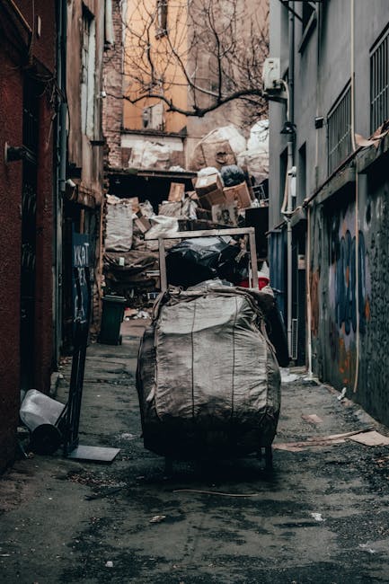 A narrow urban alleyway filled with large bags of mixed waste, including black plastic and fabric recycling sacks, positioned in the foreground alongside various debris and discarded items on the ground. In the background, there are densely stacked cardboard boxes and crumpled paper waste piled against a makeshift wooden barrier, indicative of private rubbish clearance efforts. The alley is bordered by graffiti-covered walls on the right and a weathered brick building with visible pipes and electrical fittings on the left. Leafless tree branches extend overhead, and the overall lighting suggests an overcast day or shaded environment, highlighting the gritty, cluttered atmosphere typical of an area awaiting rubbish removal or clearance services. This scene, associated with independent waste handling, underscores the importance of professional rubbish removal solutions like those provided by House Clearance Belgravia, especially in tight urban spaces where clutter accumulates.